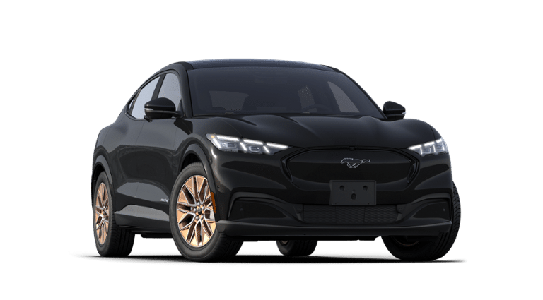 Mustang Mach-E® vehicle